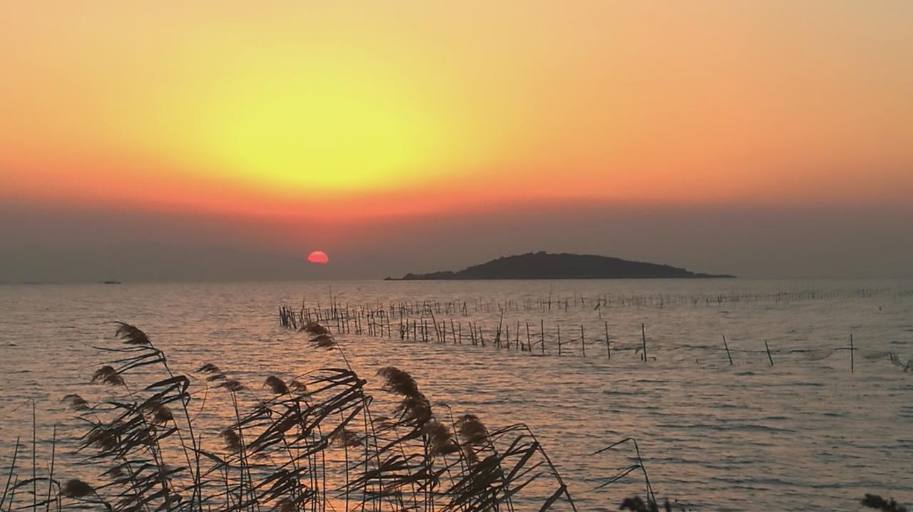 Pure-Land Villa سوجو المظهر الخارجي الصورة
